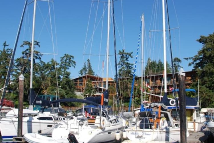 Marina area